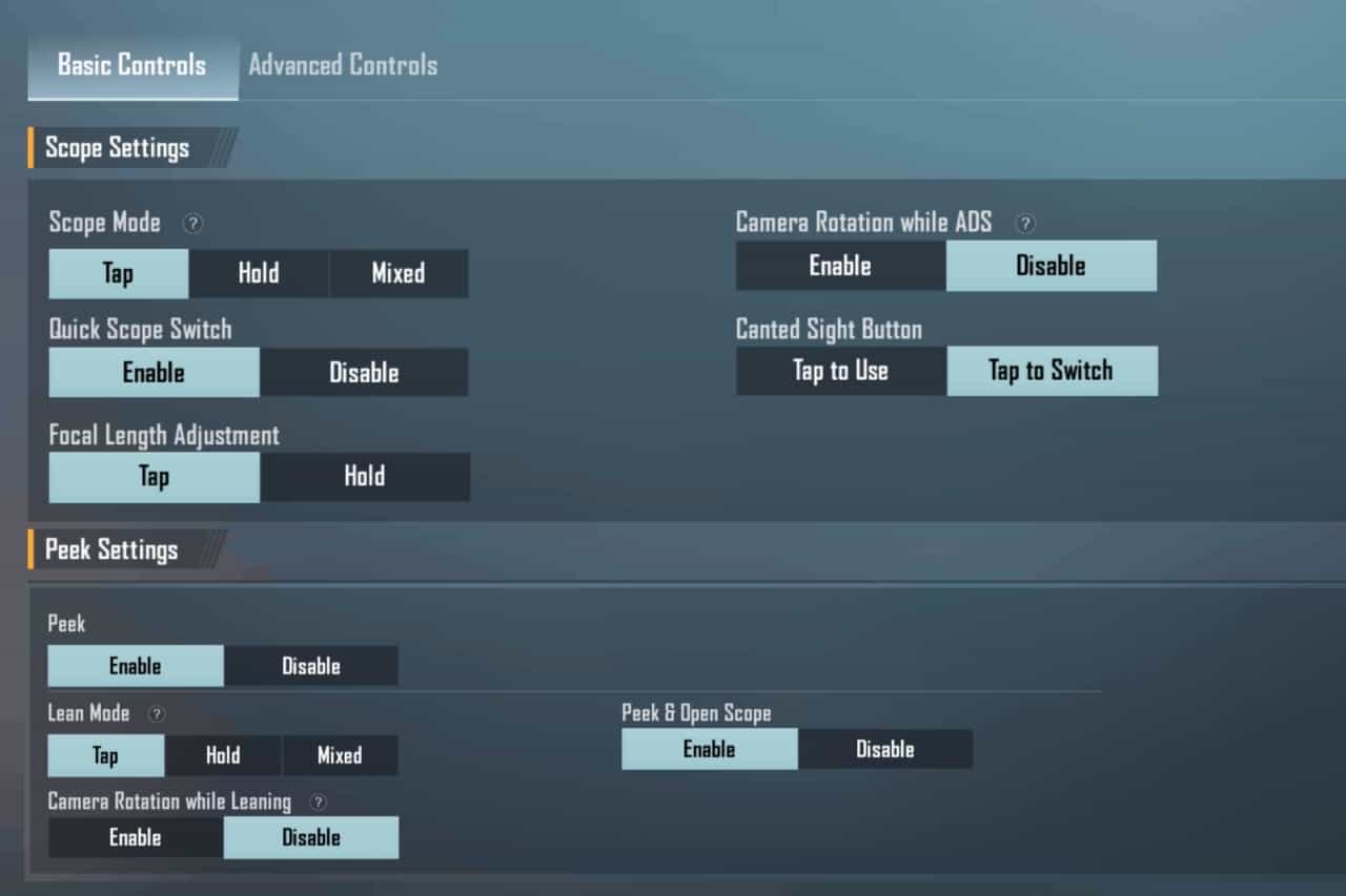 Additional or Basic Controls