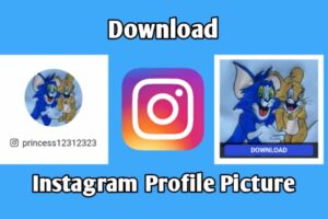 Download Instagram Profile Picture