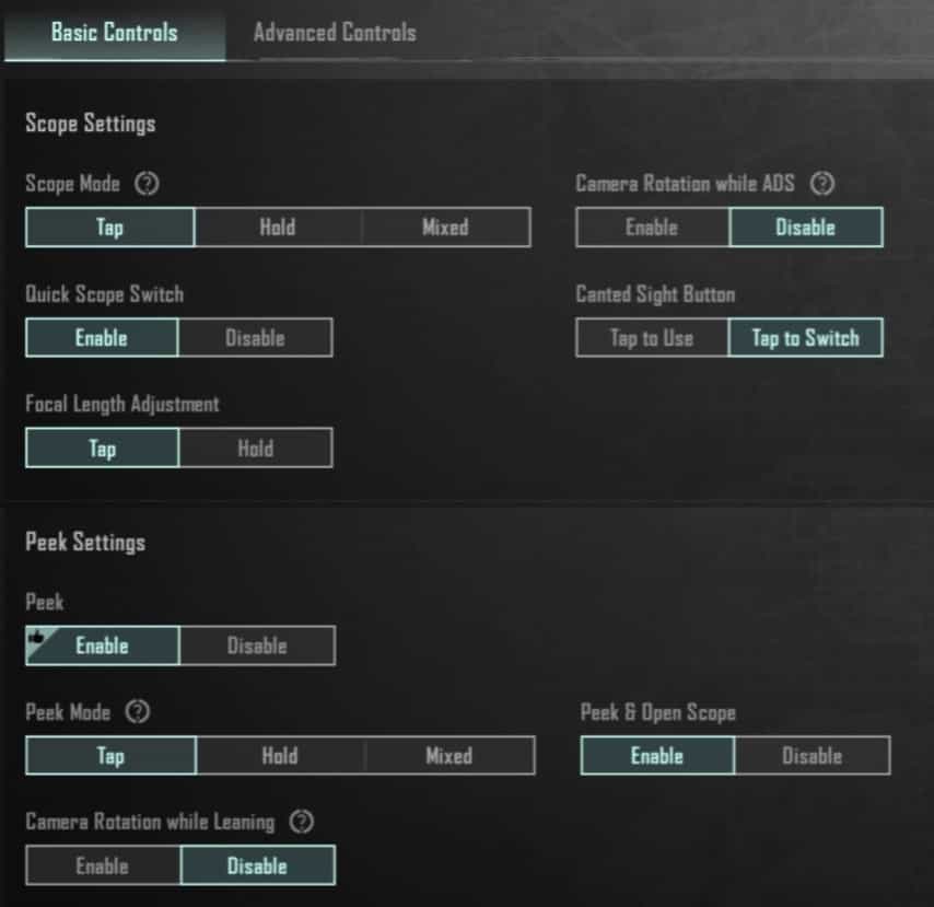 Basic Controls Screenshot