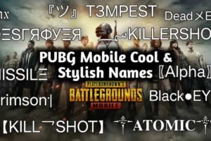 Cool And Stylish Names for PUBG