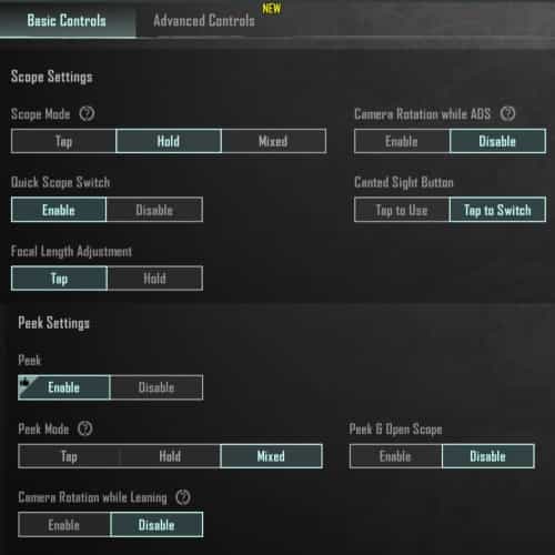 Basic Controls Screenshot